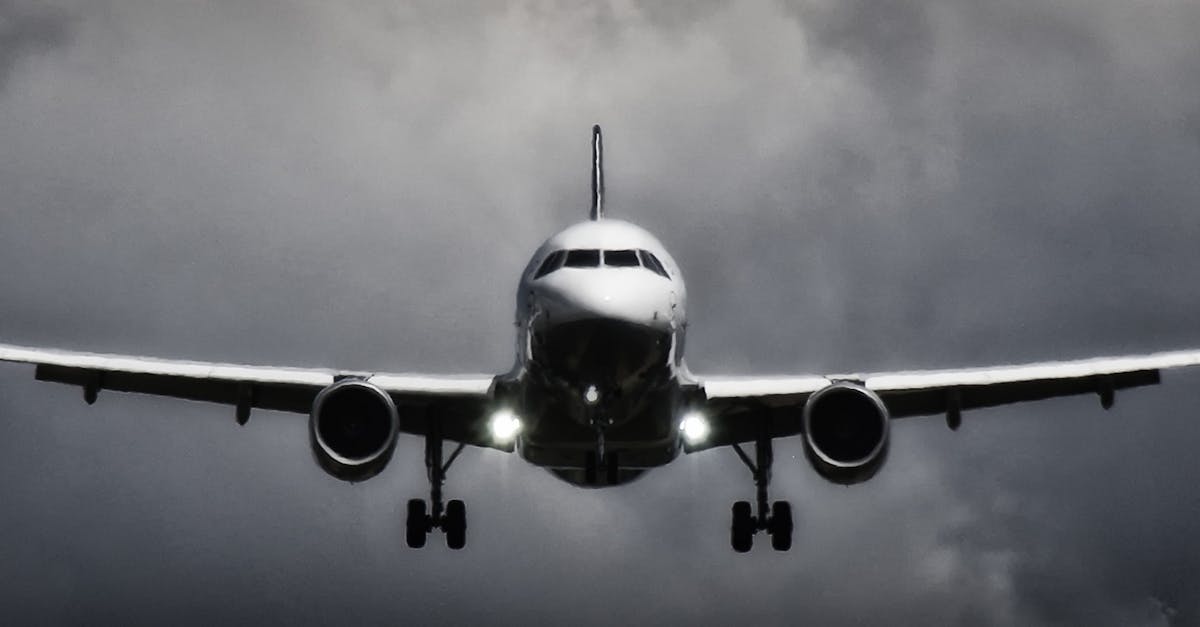 découvrez l'univers fascinant de l'aviation, des avancées technologiques aux pilotes d'exception. plongez dans l'histoire des avions, les tendances actuelles de l'aviation commerciale et militaire, et explorez les innovations qui façonnent le ciel de demain.