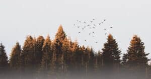 découvrez les meilleurs prix de vol pour vos destinations préférées. comparez facilement les offres et réservez au tarif le plus avantageux.