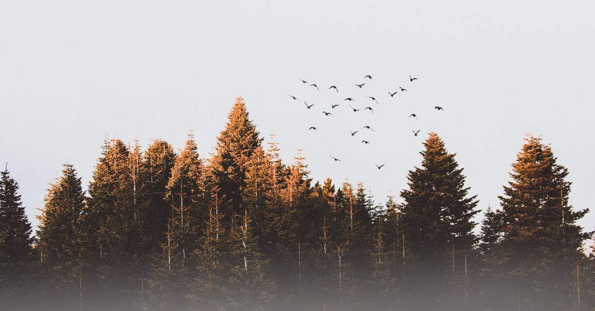 découvrez les meilleurs prix de vol pour vos destinations préférées. comparez facilement les offres et réservez au tarif le plus avantageux.