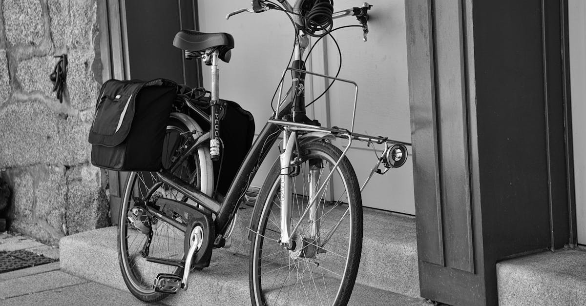 découvrez notre sac à vélo pratique et élégant, conçu pour transporter facilement vos affaires tout en ajoutant une touche de style à votre expérience de cyclisme. parfait pour les balades en ville ou les aventures en pleine nature.