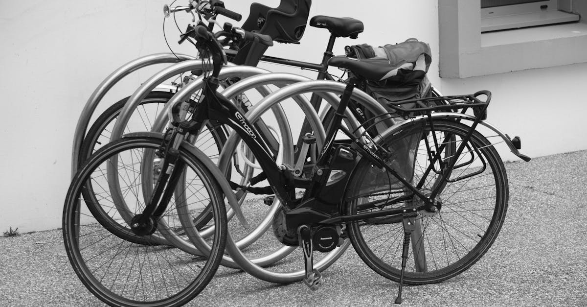 découvrez notre sélection de sacs de vélo, alliant fonctionnalité et style pour tous vos trajets à deux roues. conçus pour transporter vos effets personnels en toute sécurité, nos sacs de vélo sont idéaux pour les cyclistes urbains et les aventuriers. profitez de la praticité et de l'élégance lors de vos balades à vélo.