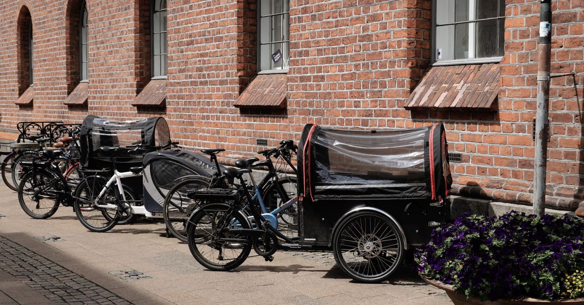 abri vélo robuste et pratique pour protéger votre vélo des intempéries. installation facile et design adapté à tous les environnements.