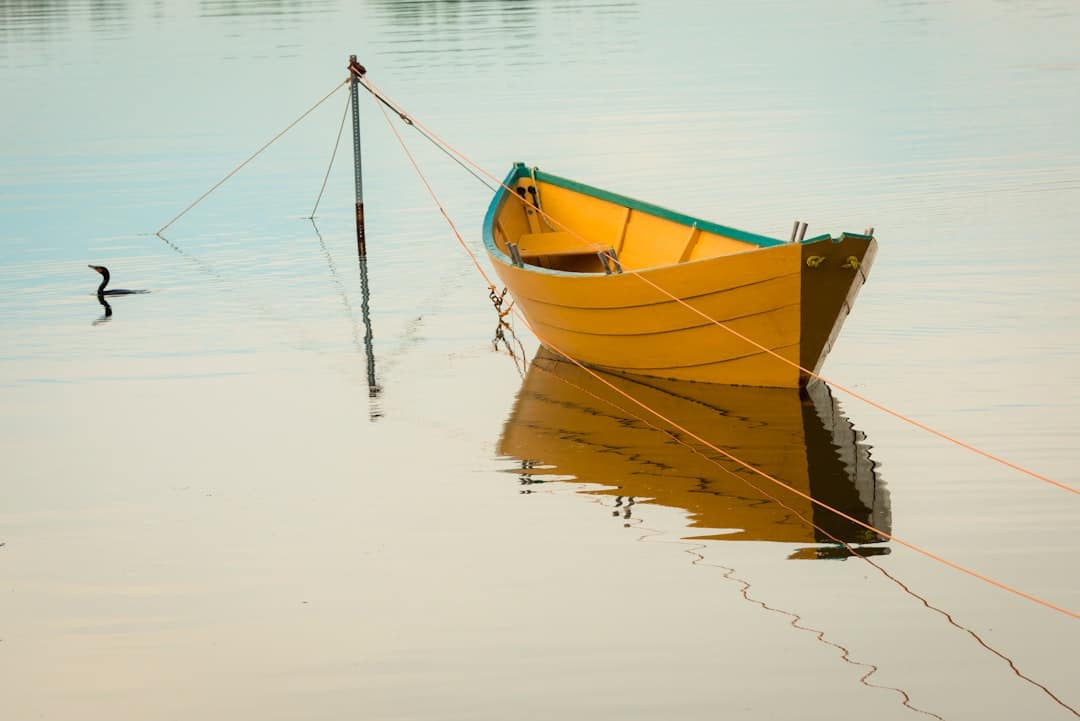 découvrez tout sur les bateaux : types, conseils d'achat, entretien et astuces pour naviguer en toute sécurité. informations pratiques et guides pour passionnés et débutants.