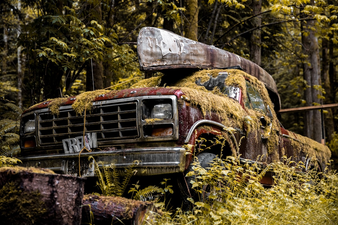 découvrez l'univers des camions aménagés : des véhicules transformés en espaces de vie confortables, idéaux pour les aventuriers en quête d'évasion. explorez nos modèles, conseils d'aménagement et idées d'itinéraires pour une expérience de voyage unique sur la route.
