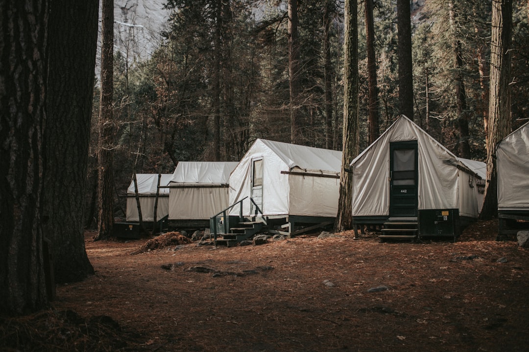 découvrez comment transformer un véhicule en van aménagé confortable et fonctionnel grâce à nos conseils et astuces pour une conversion camper réussie. idéal pour les aventuriers en quête de liberté !