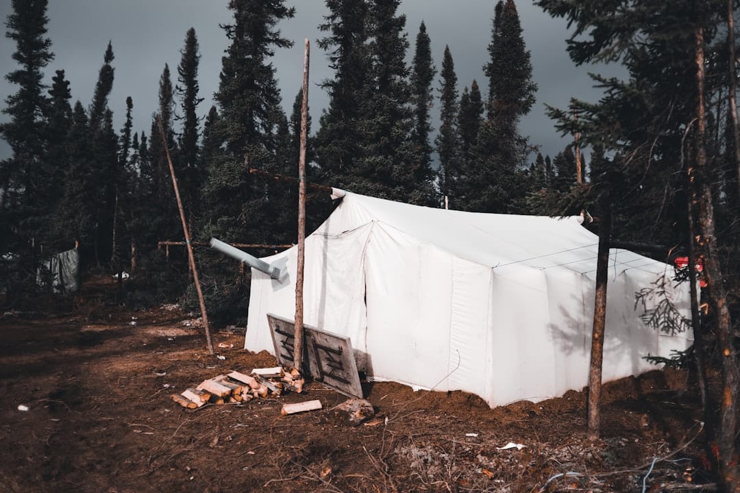 découvrez comment transformer un utilitaire en van aménagé confortable avec nos conseils pratiques, idées d'aménagement et astuces pour réussir votre camper conversion.