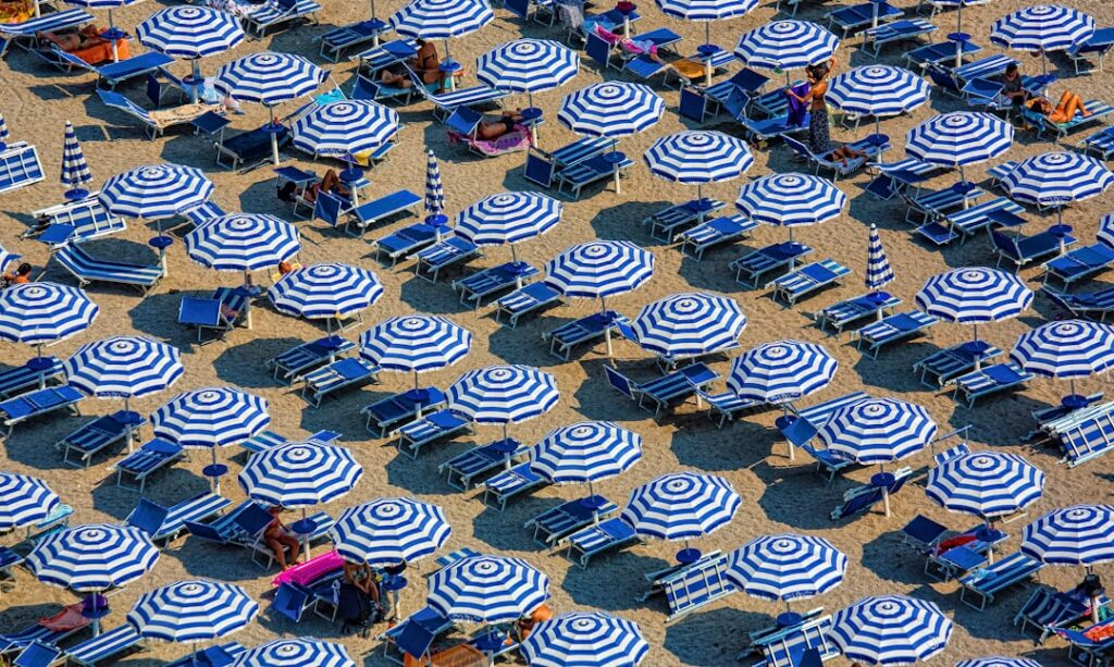 Guide Pratique : Choisir le Pare-Soleil Idéal pour Votre Voiture
