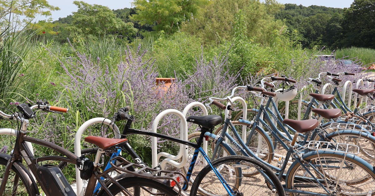 découvrez le porte-vélos decathlon, conçu pour faciliter le transport de vos bicyclettes. robuste, pratique et adapté à tous types de véhicules, ce support est idéal pour vos sorties en plein air. transportez vos vélos en toute sécurité avec decathlon.
