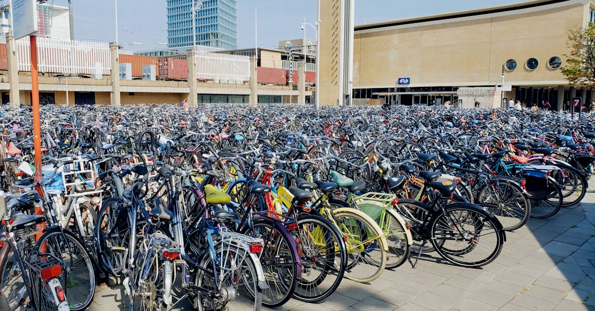 découvrez le porte-vélos decathlon, alliant robustesse et facilité d'utilisation. idéal pour vos aventures sur deux roues, il permet de transporter vos vélos en toute sécurité. explorez notre gamme pour choisir le modèle qui répondra à vos besoins de transport, que ce soit pour un voyage en famille ou une escapade sportive.
