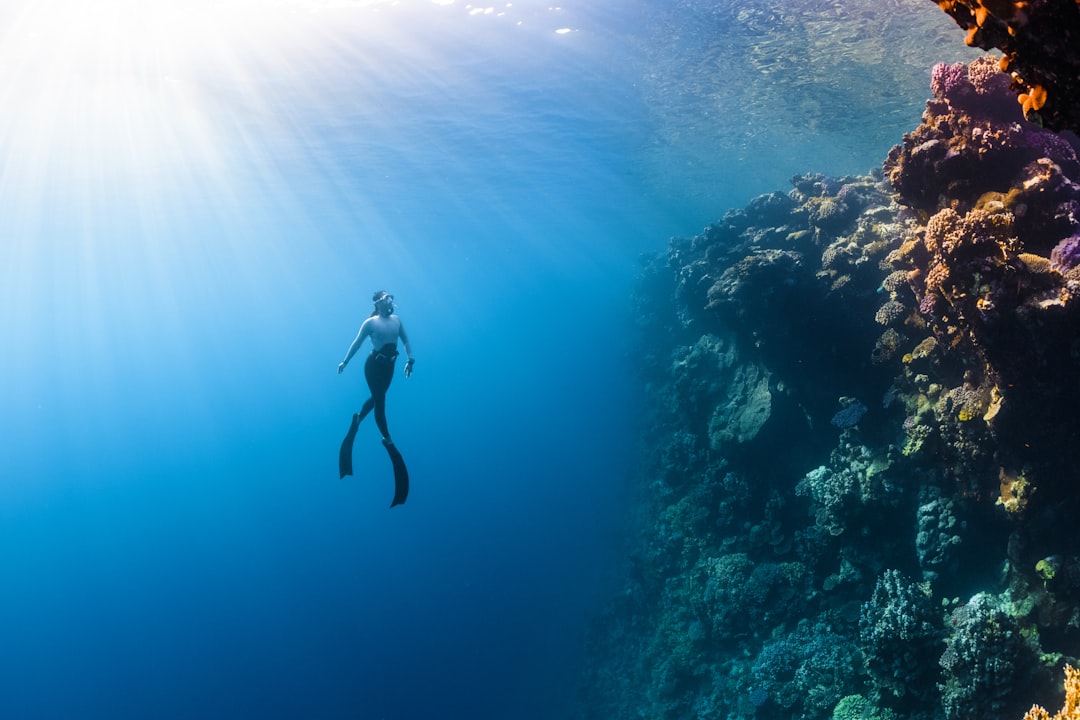 discovery : explorez des contenus inspirants sur la science, la culture et l’innovation; guides, histoires et ressources pour nourrir votre curiosité.
