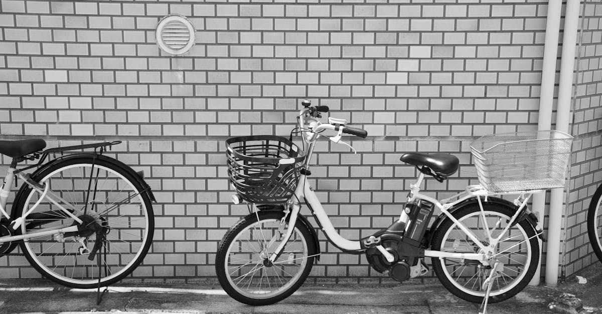 découvrez notre sélection de vélos électriques performants et écologiques, parfaits pour vos déplacements quotidiens et vos loisirs en plein air.