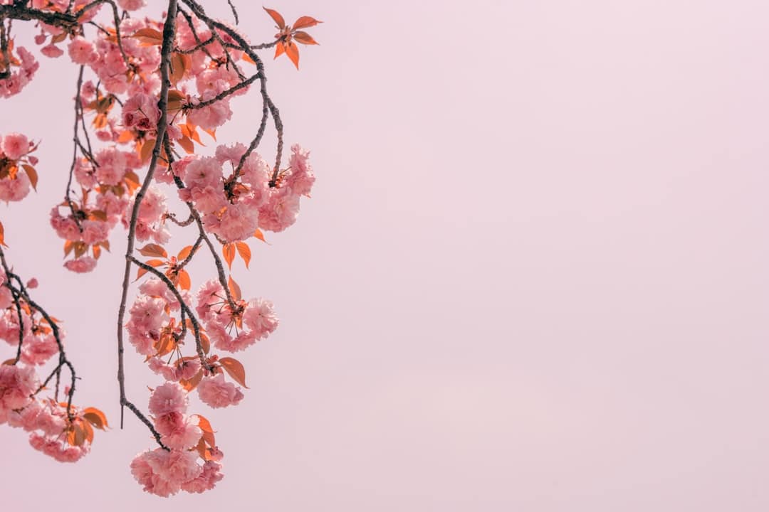 découvrez l'essentiel : un guide complet pour maîtriser les éléments fondamentaux et indispensables de votre quotidien. optimisez votre style de vie avec des conseils pratiques et des astuces expertes.
