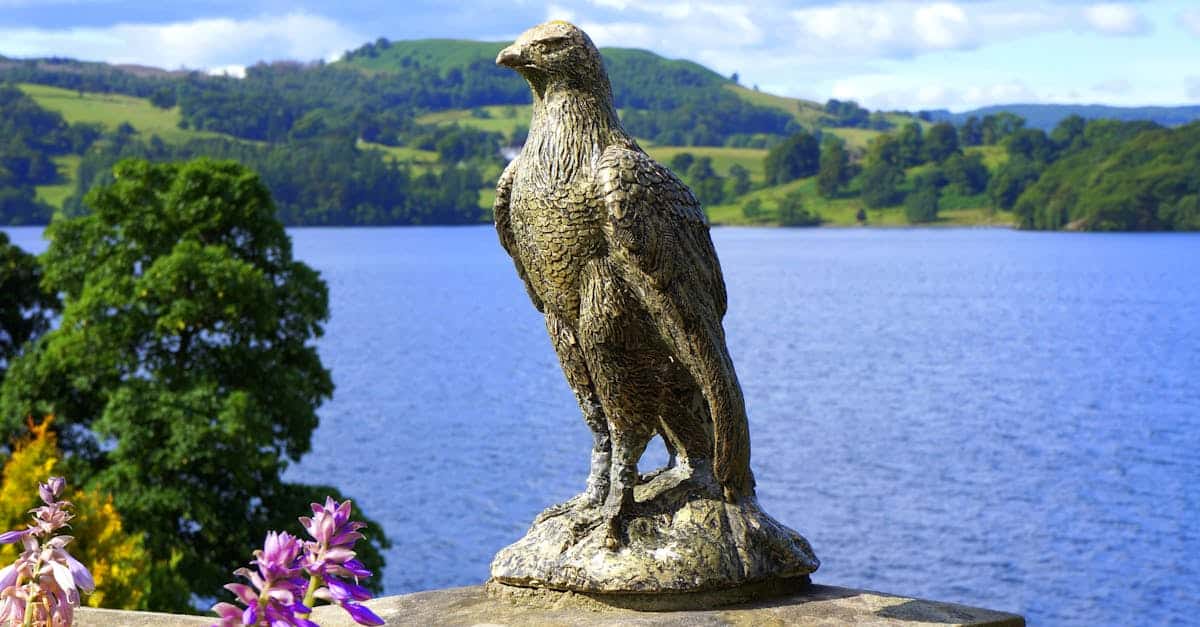 découvrez le falcon, un oiseau majestueux symbole de puissance et d’agilité, réputé pour sa vitesse incroyable et son importance dans la culture et la nature.