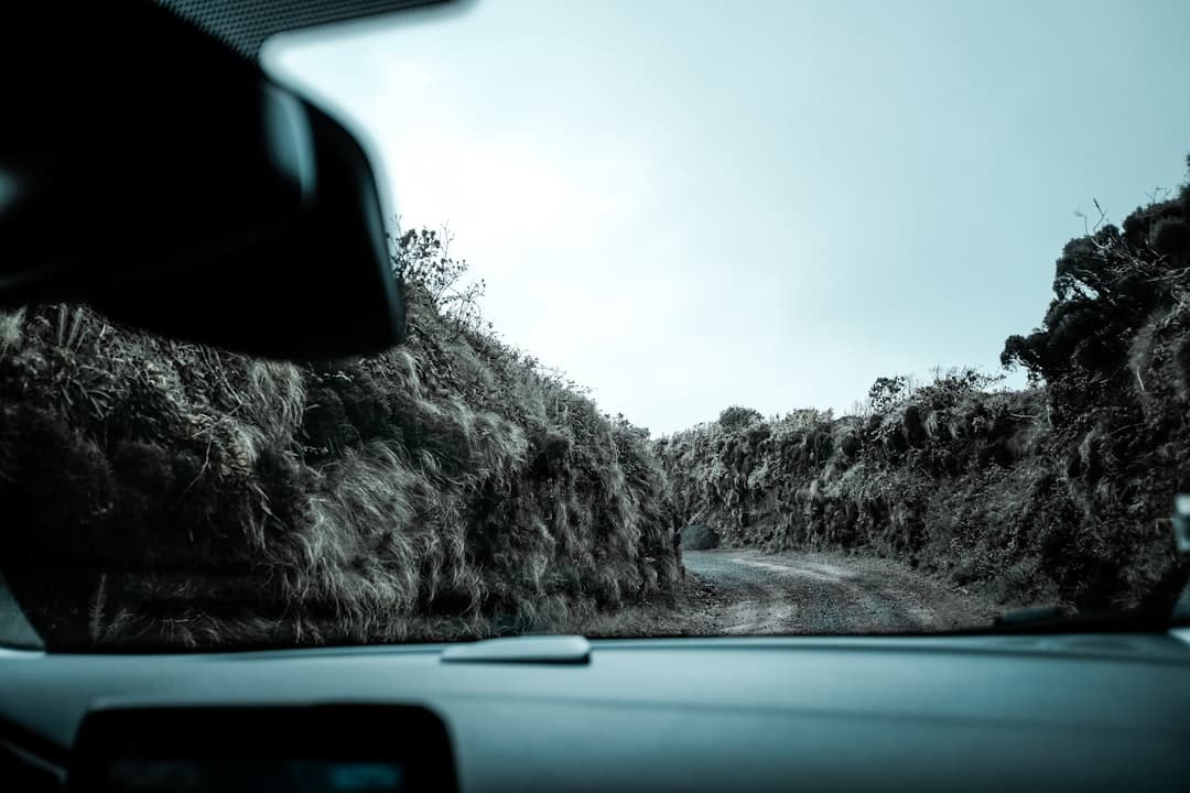 découvrez comment choisir votre première voiture : conseils, astuces et options adaptées à votre budget pour faire le bon choix et démarrer votre aventure de conducteur en toute confiance.