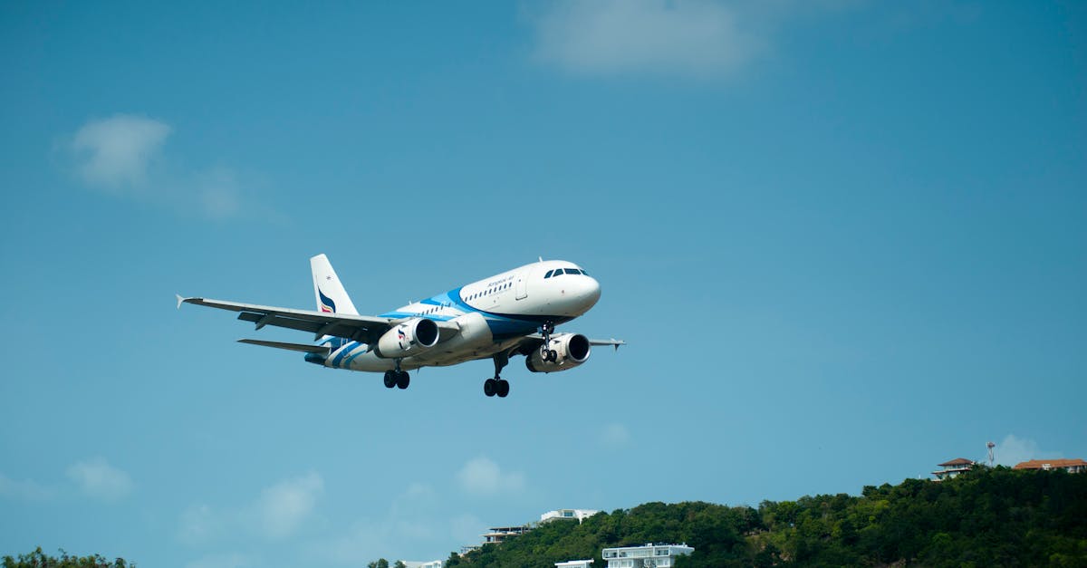 découvrez tout ce qu'il faut savoir sur les vols : réservations, conseils pour voyager en avion, astuces pour trouver des billets pas chers et informations sur les destinations populaires. préparez votre prochain voyage aérien en toute sérénité.