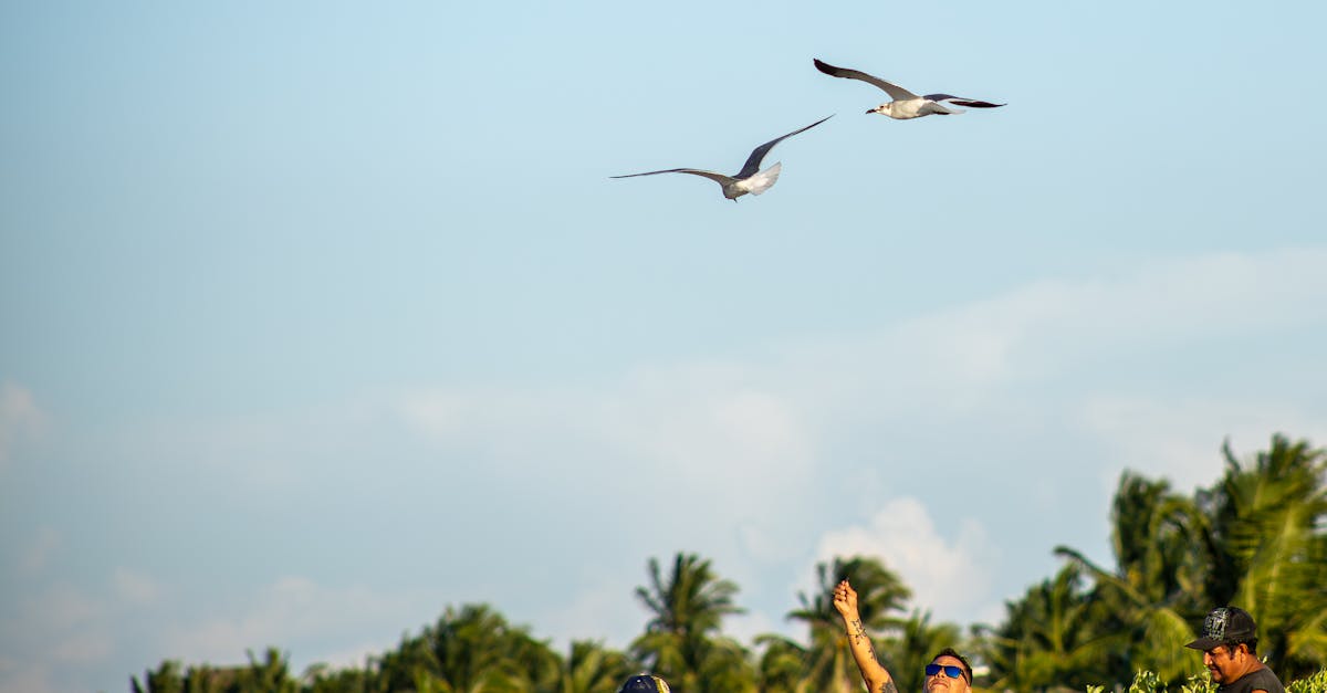 réservez vos vols facilement et rapidement avec notre service de réservation de billets d'avion. profitez des meilleurs tarifs et d'une expérience simple et sécurisée.