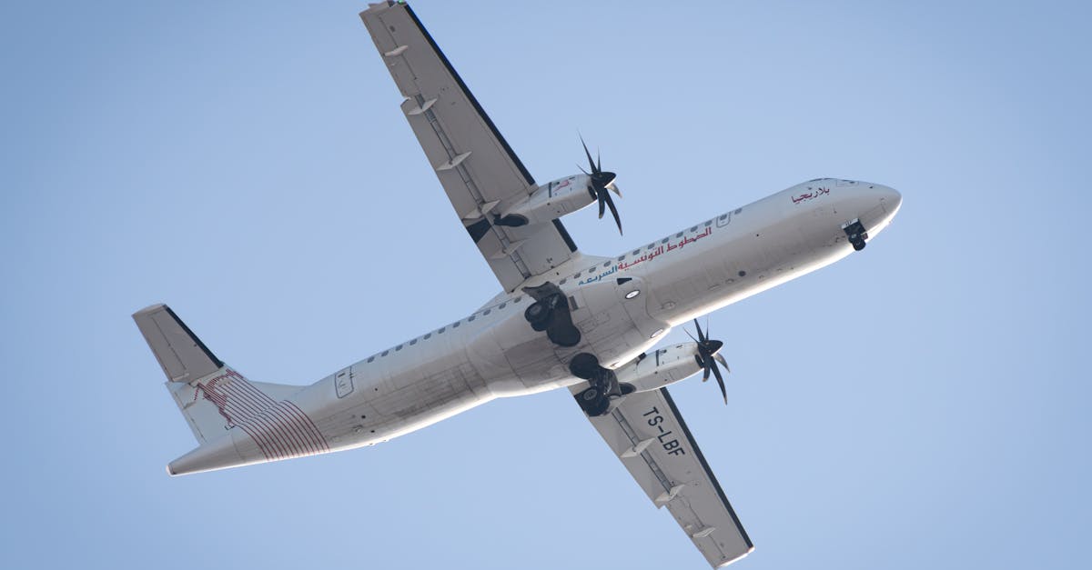 réservez votre vol vers la tunisie dès aujourd'hui et découvrez ses plages magnifiques, sa riche culture et son histoire fascinante.