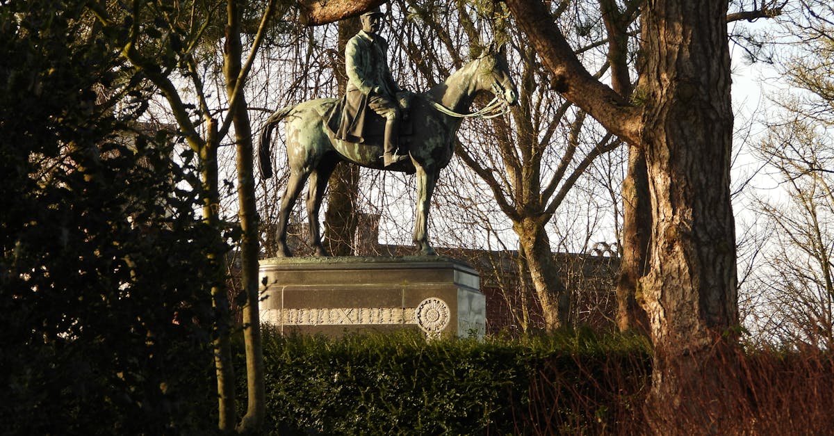 découvrez l’histoire et l’influence de foch, figure majeure de la première guerre mondiale et stratège militaire reconnu. explorez ses accomplissements et son héritage en france et dans le monde.