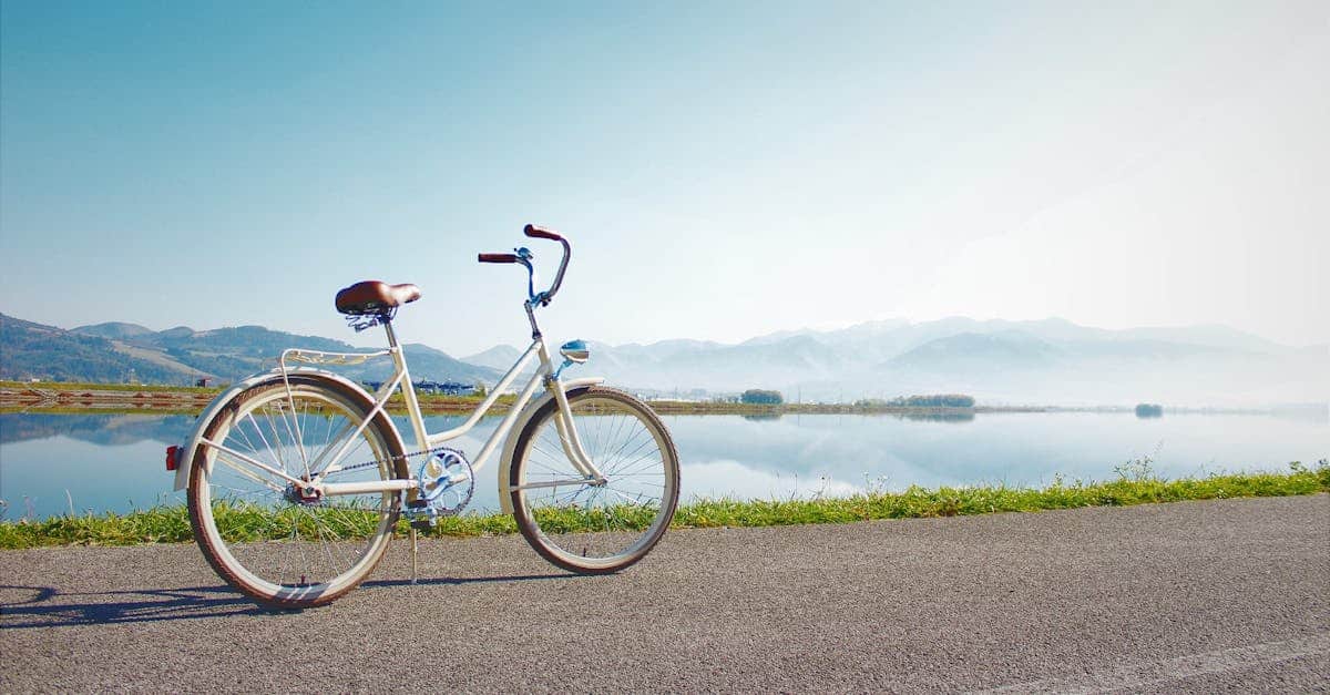 découvrez notre sélection de vélos adaptés à toutes vos aventures. d'une qualité exceptionnelle, nos modèles de 20 pouces allient performance et confort pour les petits comme pour les grands. trouvez le vélo idéal pour votre style de vie actif!