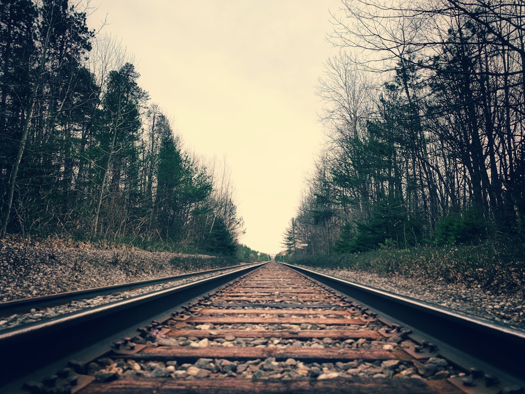 découvrez comment la série infinity train explore la nature humaine à travers des histoires captivantes et des personnages profonds.