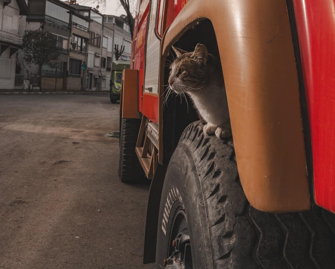 découvrez les aventures de leo, le camion curieux ! suivez-le dans ses explorations fascinantes, où chaque trajet apporte une nouvelle leçon et une découverte incroyable. parfait pour éveiller la curiosité des enfants et stimuler leur imagination.