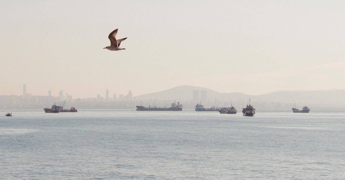 découvrez que faire en cas de vol manqué : démarches, remboursements possibles et conseils pour gérer au mieux cette situation stressante.