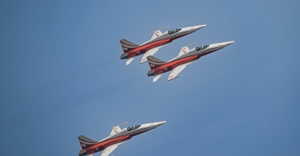 découvrez tout sur la patrouille : ses missions, son rôle en sécurité, ses membres et son importance dans la surveillance quotidienne. informations et conseils utiles.