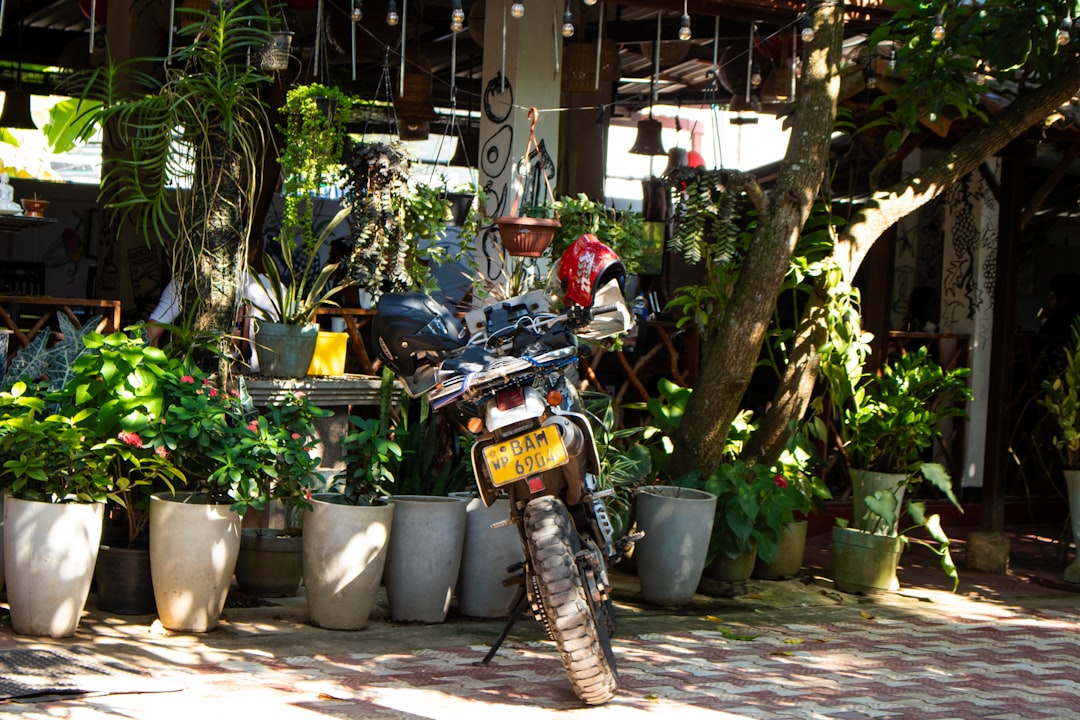 découvrez tout sur les motos privées : conseils d’achat, entretien, avantages et réglementation pour les passionnés de deux-roues.