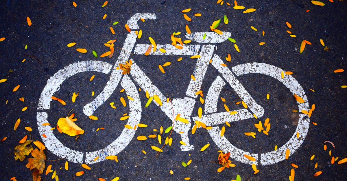 découvrez tout sur le road bike : conseils d’achat, guides d’entretien, comparatifs des meilleurs vélos de route et accessoires pour optimiser vos performances sur route.