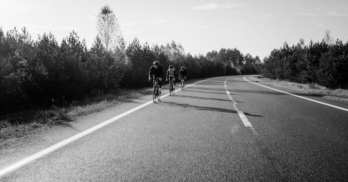 découvrez tout sur le vélo de route : conseils, comparatifs, équipements et astuces pour débutants et passionnés. améliorez vos performances et trouvez le vélo idéal pour vos sorties sur route.