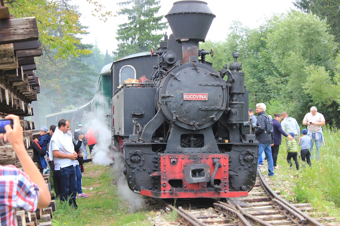 découvrez le charme du train à vapeur dans les magnifiques paysages des cévennes, une expérience authentique alliant histoire et nature.