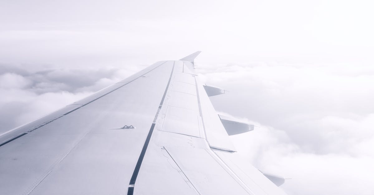 découvrez les avantages des vols touristiques : confort, flexibilité, et accès rapide aux destinations de vos rêves pour un voyage inoubliable.