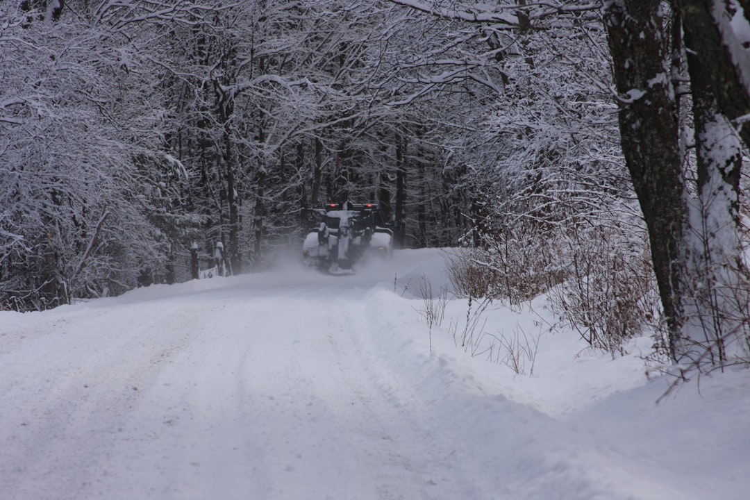 service de dépanneuse rapide et fiable pour tous types de véhicules. intervention 24h/24 et 7j/7, remorquage sécurisé et assistance routière partout en ville.