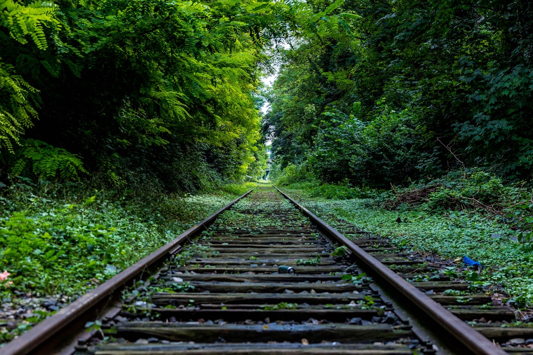 découvrez le monde fascinant des trains : histoire, types, technologies modernes et voyages inoubliables à travers paysages enchanteurs. embarquez pour une aventure ferroviaire inégalée.