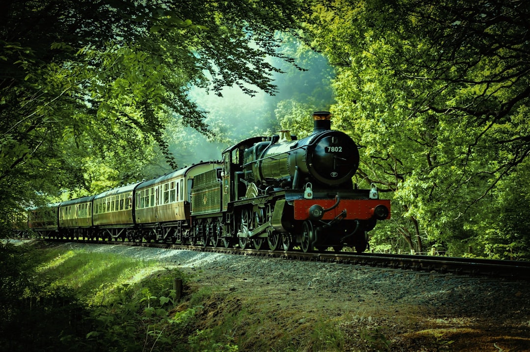 découvrez l'univers des trains, des voyages en train aux innovations ferroviaires. explorez les différents types de trains, leurs avantages, et planifiez votre prochaine aventure à travers les paysages enchanteurs de la france et au-delà.