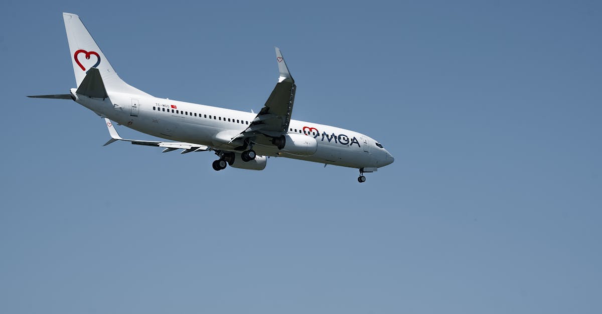 découvrez comment voyager en avion vers la guadeloupe facilement et rapidement. conseils, meilleures compagnies aériennes et astuces pour un vol agréable vers cet île paradisiaque des caraïbes.