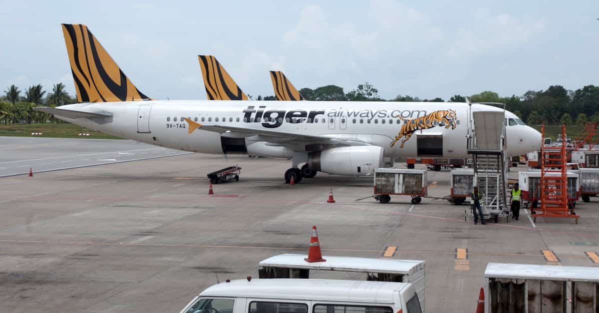 découvrez comment voyager en guadeloupe en avion : conseils pratiques, meilleures compagnies aériennes et astuces pour un vol agréable vers ce paradis caribéen.