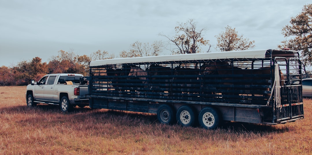 découvrez notre sélection de camions-bennes d'occasion fiables et contrôlés, idéals pour vos chantiers et transports de matériaux. trouvez le camion-benne qu'il vous faut à prix avantageux, disponible immédiatement.