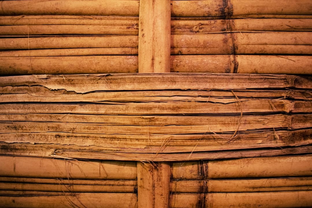 découvrez notre carport en bois, une solution élégante et durable pour protéger votre véhicule des intempéries. conçu avec des matériaux de qualité, il allie esthétisme et fonctionnalité, ajoutant une touche chaleureuse à votre espace extérieur. optez pour une structure robuste qui s'intègre harmonieusement dans votre jardin.