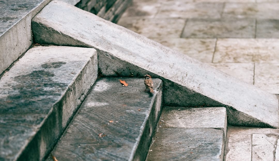 découvrez les bienfaits des circuits de train en bois pour le développement de la créativité, de la motricité fine et de l'imagination des enfants.